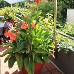 酒店 瓦柯尼特兹布里克酒店